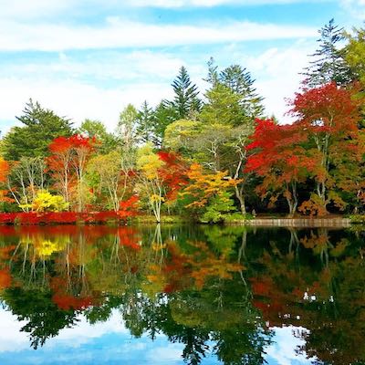 Autumn leaves around the world