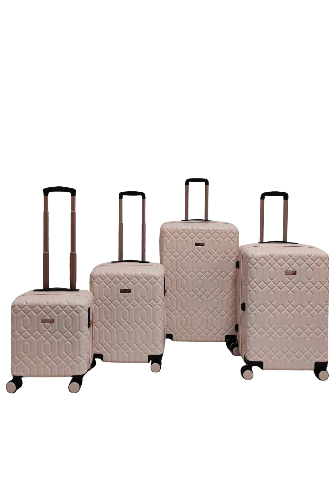 Ted Baker Geom 4 Piece Suitcase Set