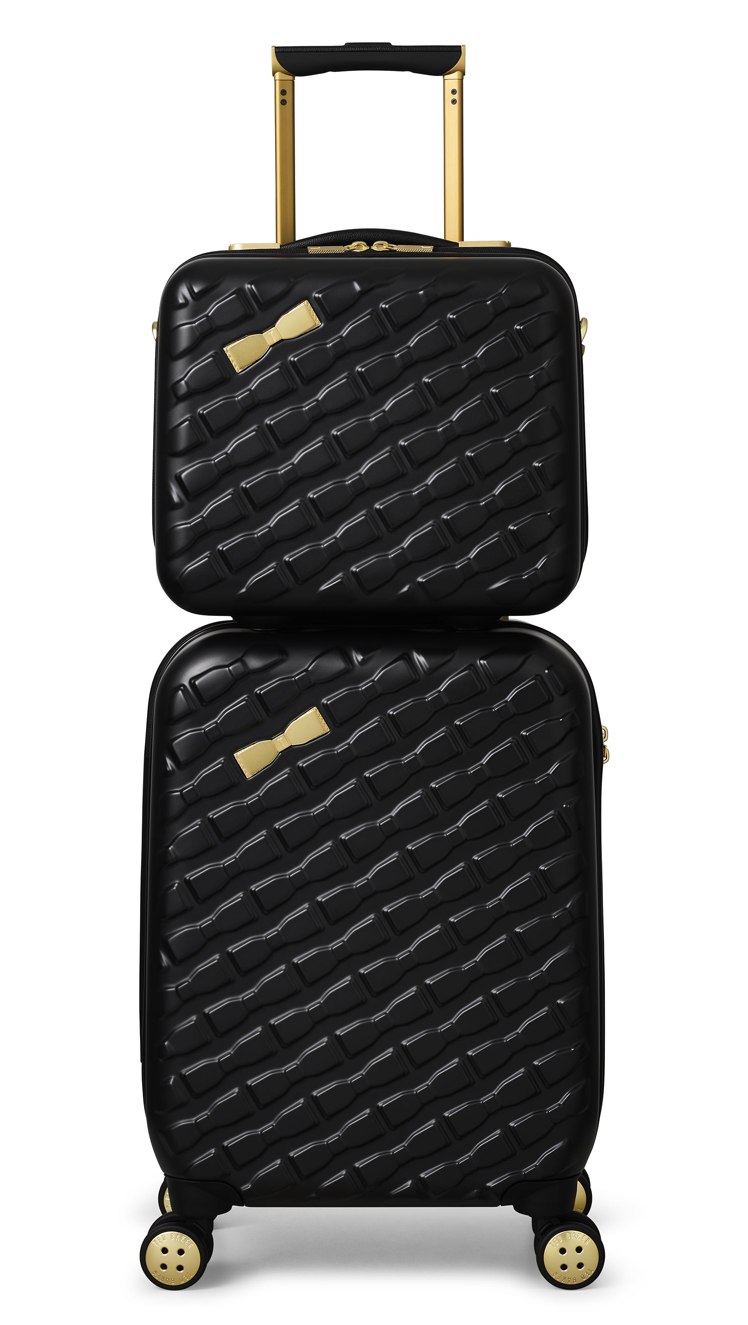 Ted baker top cabin bag